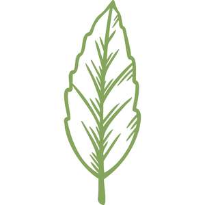 Silhouette Design Store - Search Designs : holly leaf