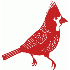 Silhouette Design Store View Design 98606 Cardinal