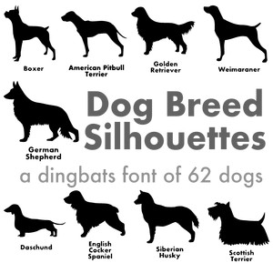 silhouette design store