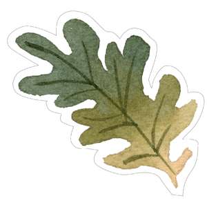 Silhouette Design Store - Search Designs : holly leaf