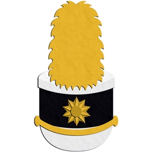 marching band hat