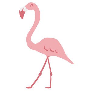 flamingo