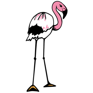 flamingo