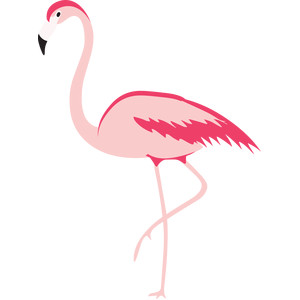 flamingo