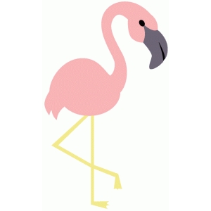 flamingo