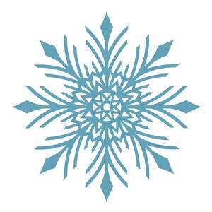 Delicate Snowflake