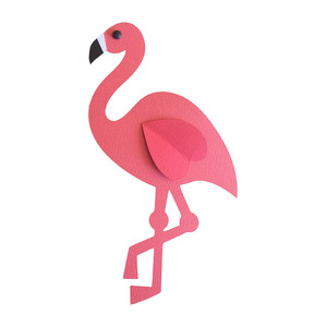 flamingo