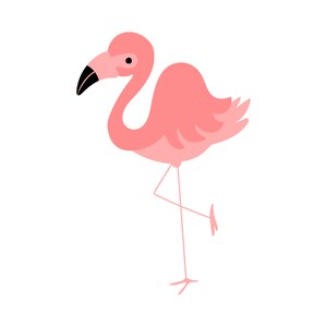 flamingo