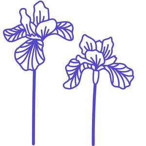 Free Free 112 Iris Flower Svg SVG PNG EPS DXF File