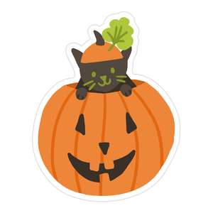 pumpkin kitty