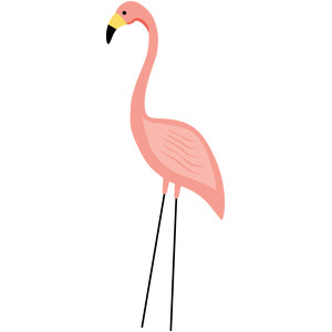 flamingo