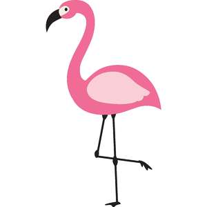 flamingo