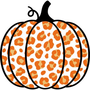 Leopard Print Pumpkin