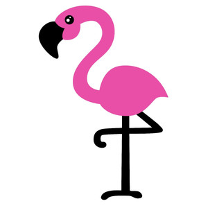 flamingo