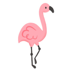 flamingo