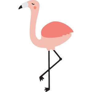 flamingo