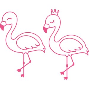 flamingo